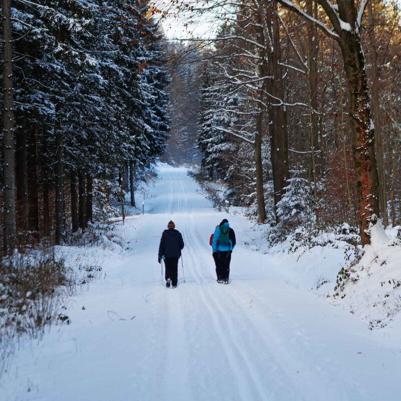 Winterwandern im Bielatal