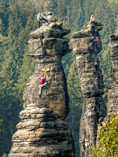 Schraubenkopf